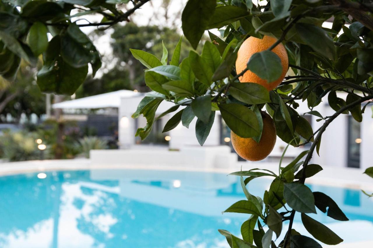 Villa Masetta - Luxury Suites Palermo Exteriér fotografie